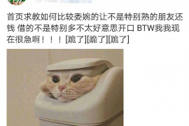 仁布仁布专业催债公司，专业催收